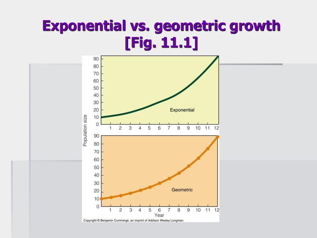 Population growth part 1 ppt download